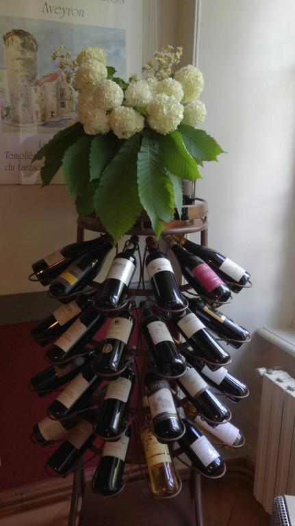 Domaine Du Vern Saint-Affrique Zewnętrze zdjęcie